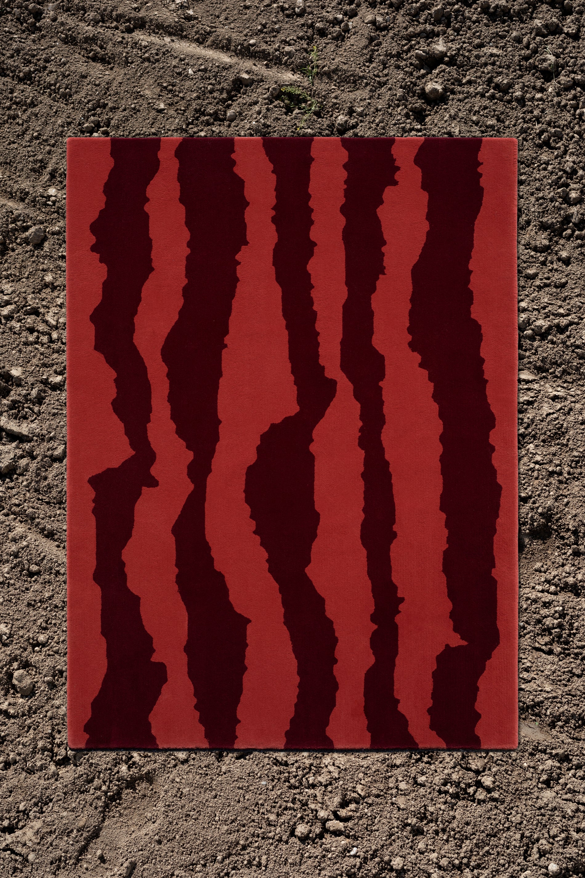 Teppich Terra
