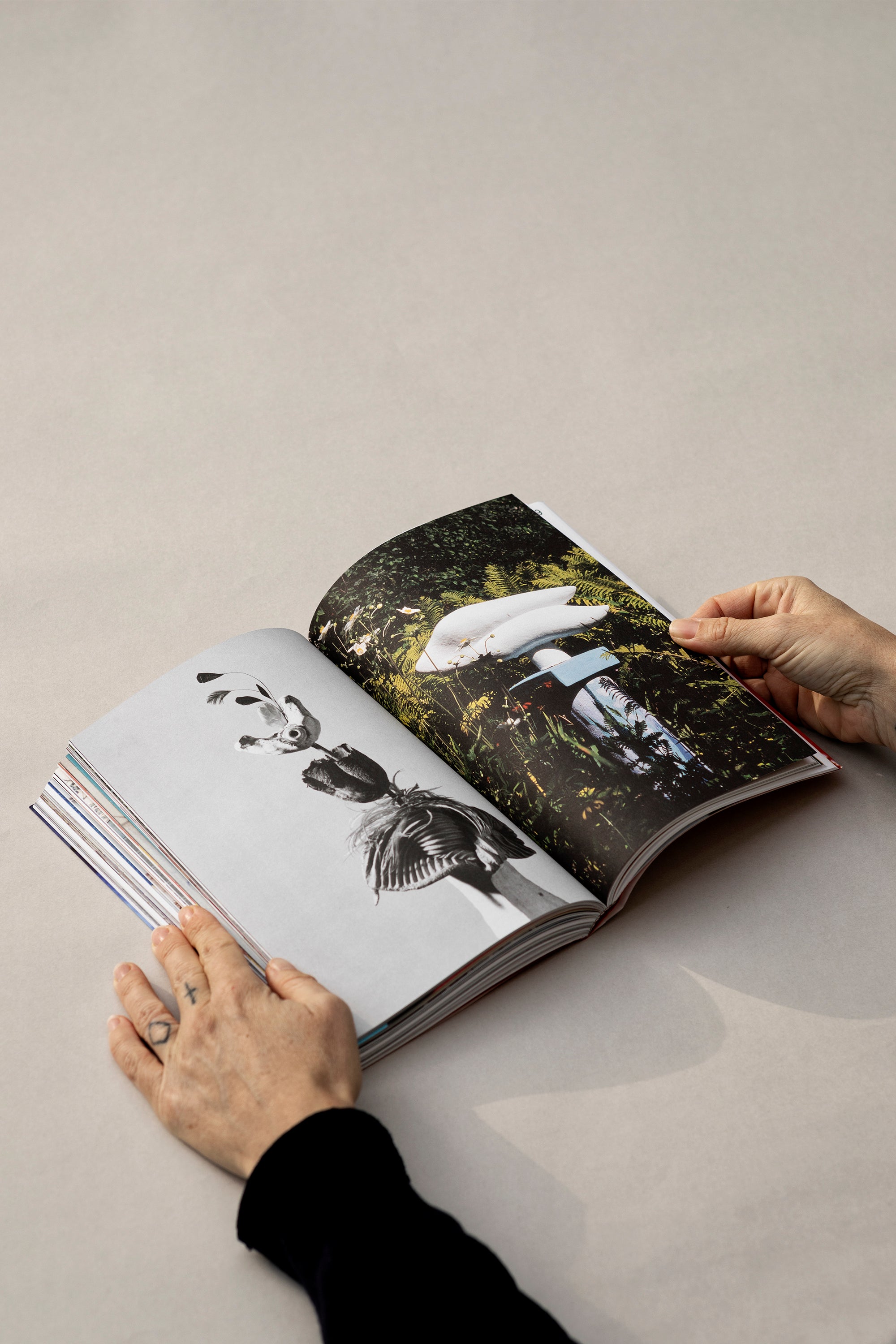 Artist Book